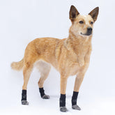 YasPet™ Anti-Slip Socks for Enhanced Stability