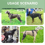 Adjustable Dog Knee Brace – Hinged Support for Joint Recovery
