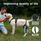 Adjustable Dog Knee Brace – Hinged Support for Joint Recovery