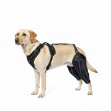 Advanced Knee Brace Harness for Dogs — Joint Support & Pain Relief Solution