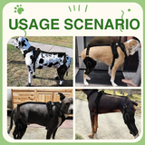 Advanced Knee Brace Harness for Dogs — Joint Support & Pain Relief Solution