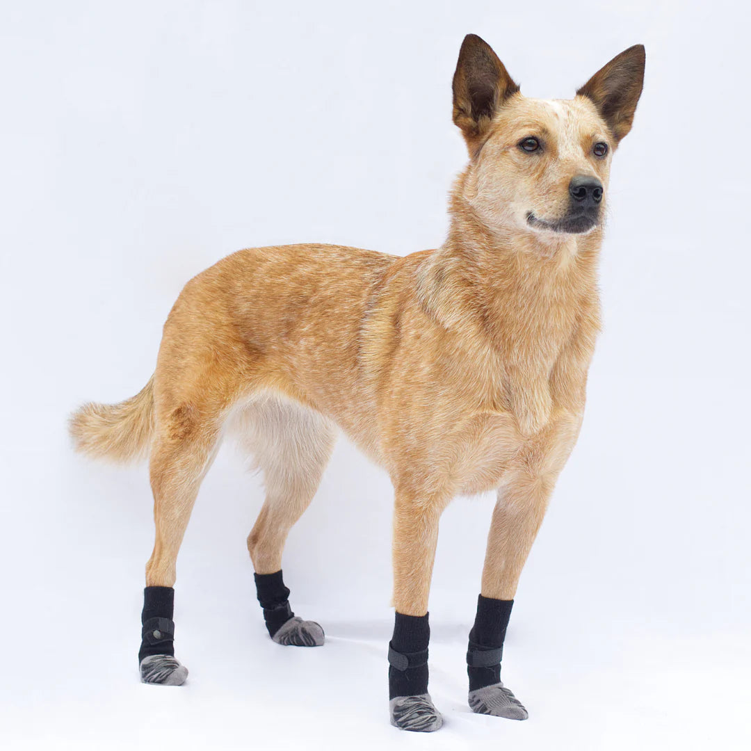 YasPet™ Anti-Slip Socks for Enhanced Stability