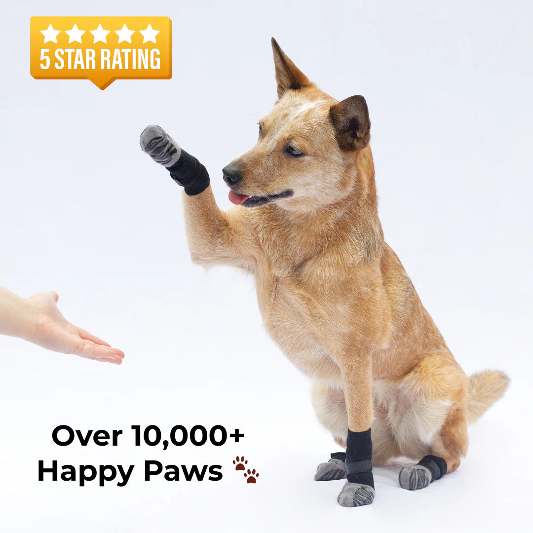 YasPet™ Anti-Slip Socks for Enhanced Stability