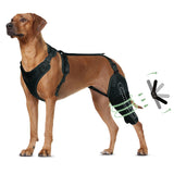 Adjustable Dog Knee Brace – Hinged Support for Joint Recovery