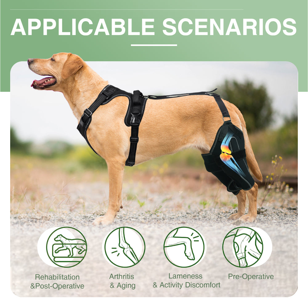 Adjustable Dog Knee Brace – Hinged Support for Joint Recovery