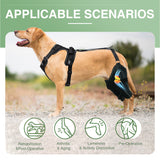 Adjustable Dog Knee Brace – Hinged Support for Joint Recovery