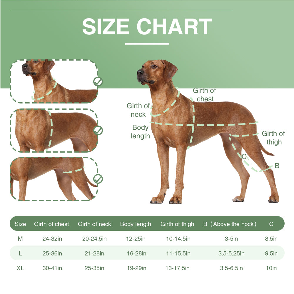 Adjustable Dog Knee Brace – Hinged Support for Joint Recovery