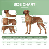 Adjustable Dog Knee Brace – Hinged Support for Joint Recovery