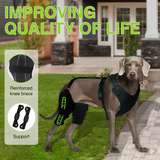 Advanced Knee Brace Harness for Dogs — Joint Support & Pain Relief Solution
