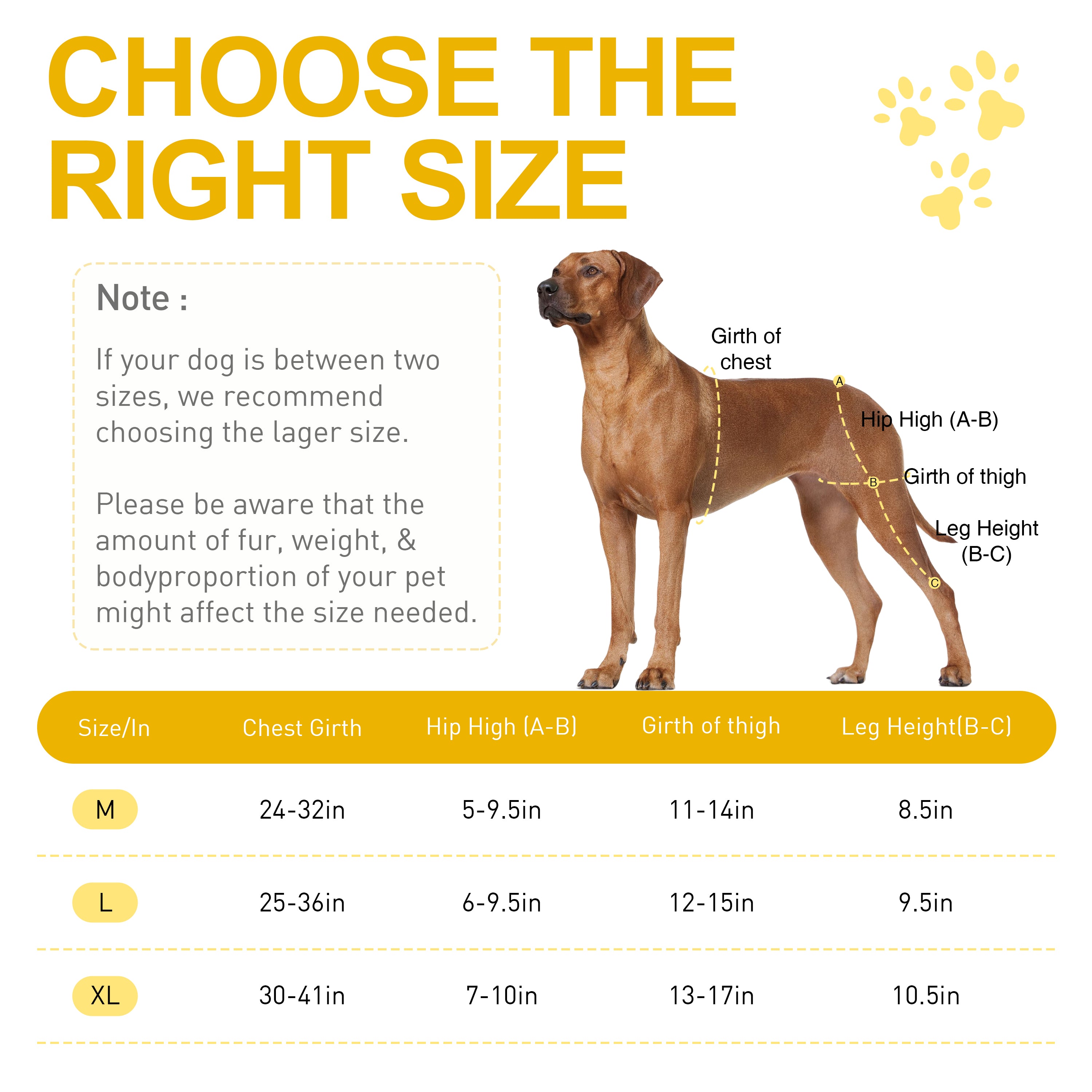 Advanced Knee Brace Harness for Dogs — Joint Support & Pain Relief Solution