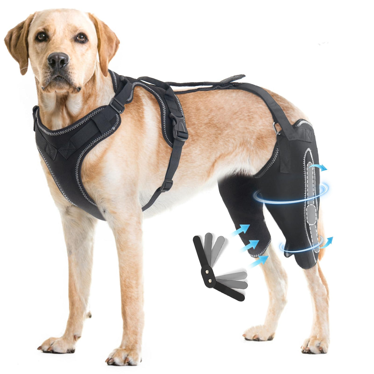 Advanced Knee Brace Harness for Dogs — Joint Support & Pain Relief Solution